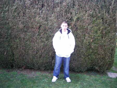 moi a seing 